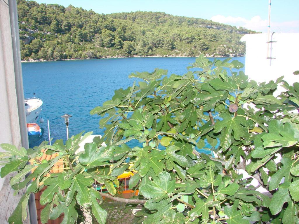 Sea House Mljet Hotel Polace Ruang foto